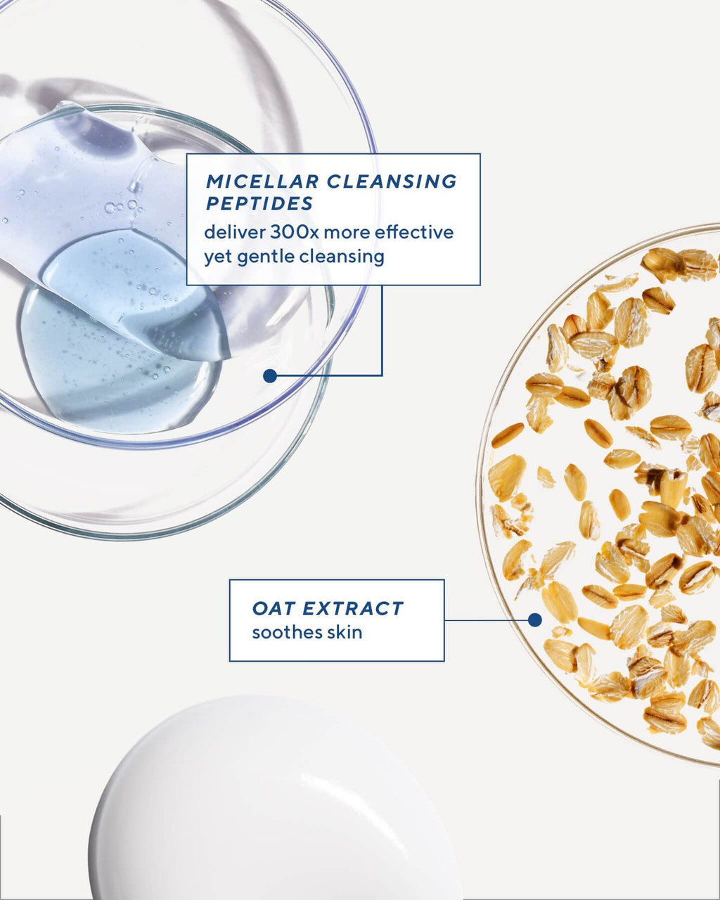 Soothing Oat and Peptide Cleanser - Ingredients